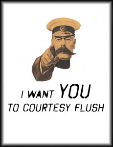 courtesyflushsmallhg4